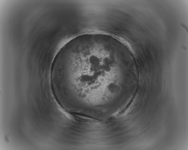 X0000097751231200803141549