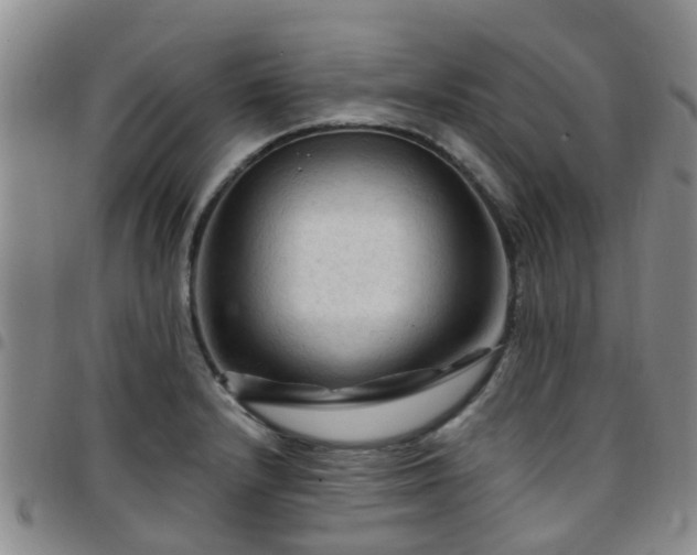 X0000097751232200803141549