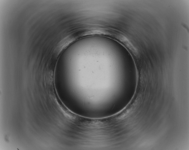 X0000097751233200803141549