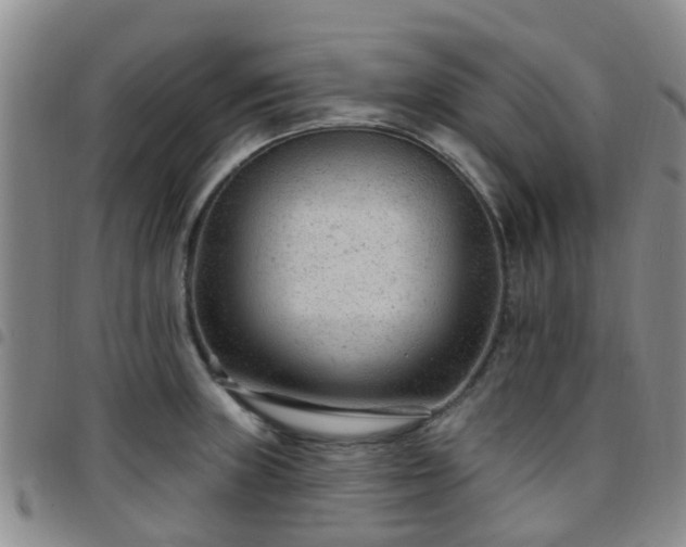 X0000097751235200803141549