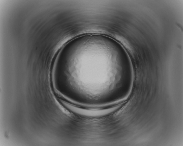 X0000097751237200803141549