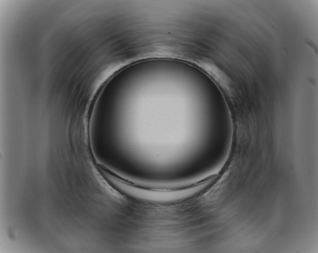 X0000097751238200803141549