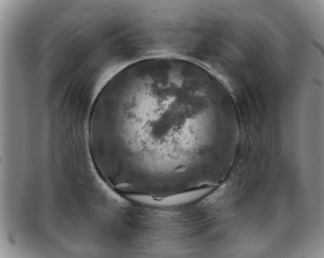 X0000097751239200803141549