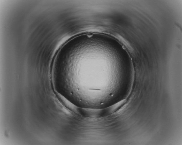 X0000097751240200803141549