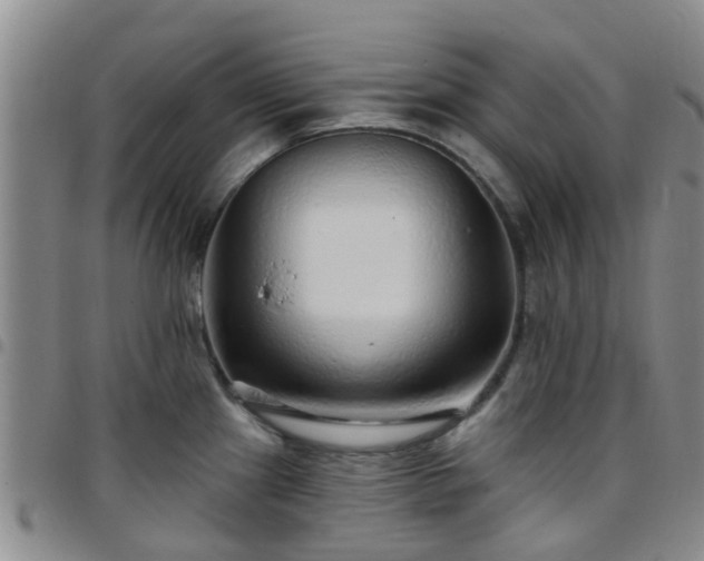 X0000097751241200803141549