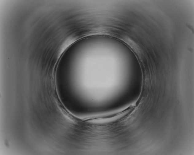 X0000097751242200803141549