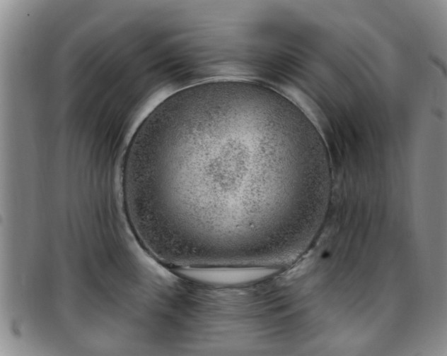 X0000097751243200803141549