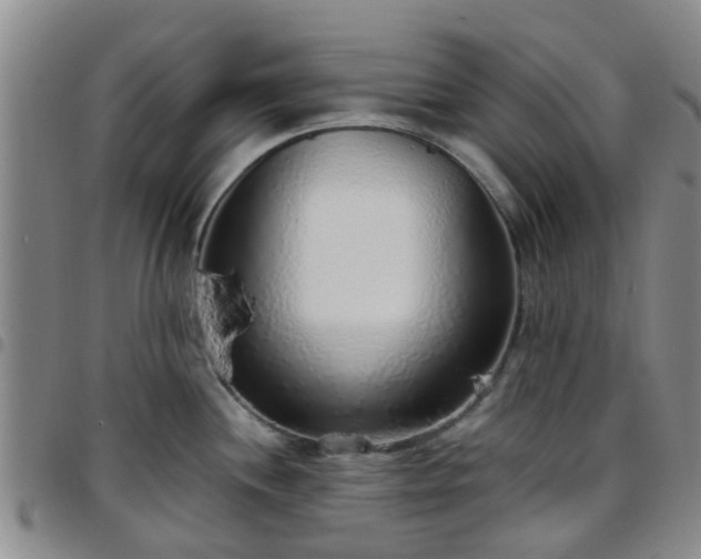 X0000097751244200803141549