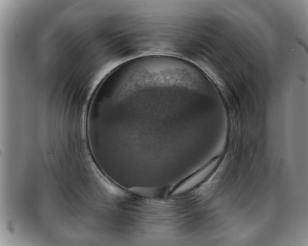 X0000097751246200803141549