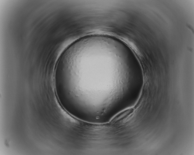 X0000097751247200803141549