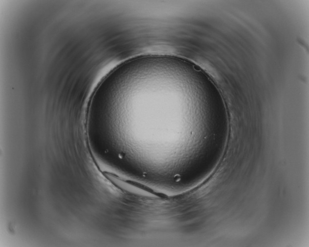 X0000097751248200803141549