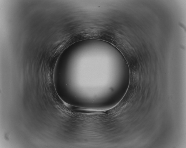 X0000097751250200803141549