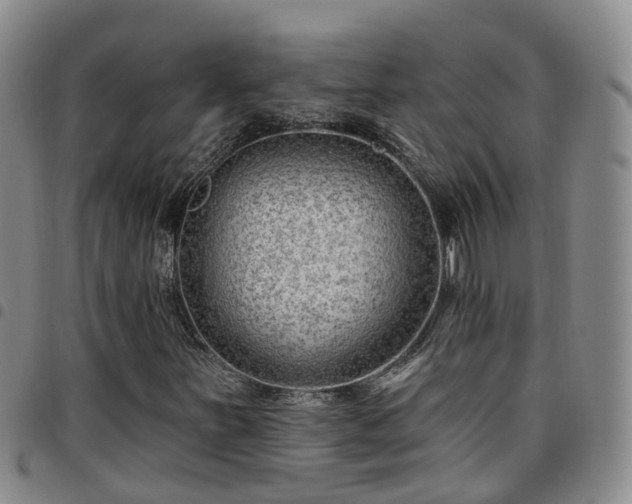 X0000097751251200803141549