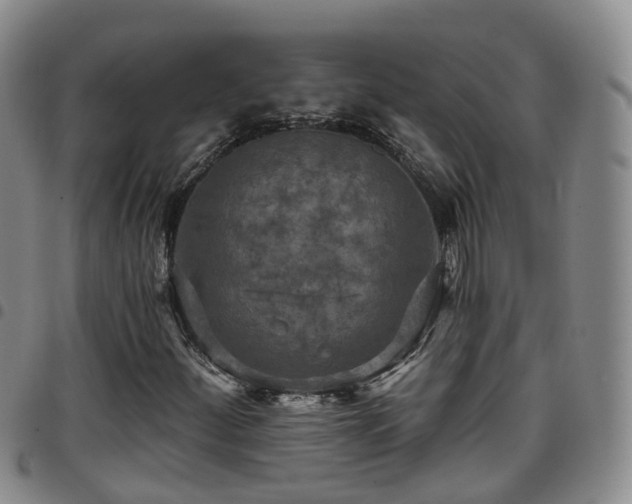 X0000097751252200803141549