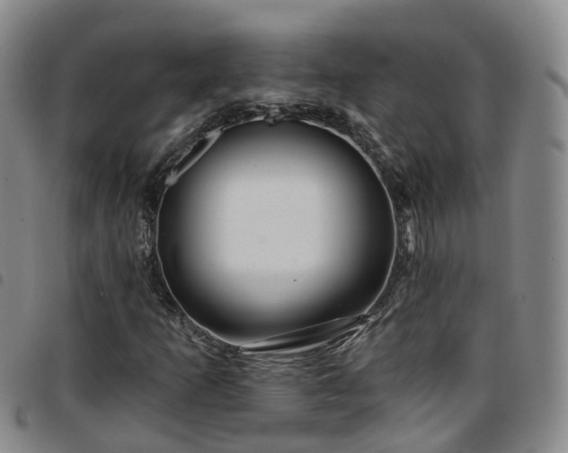 X0000097751253200803141549