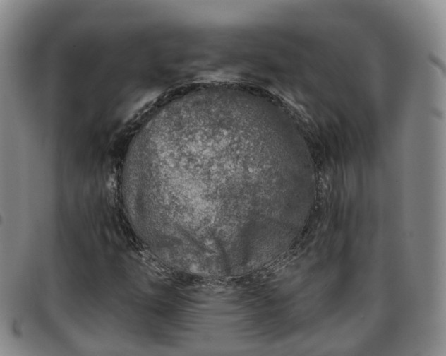 X0000097751254200803141549