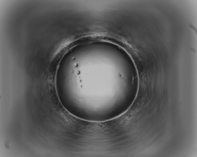 X0000097751255200803141549