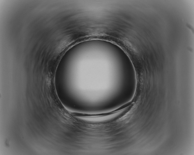 X0000097751257200803141549