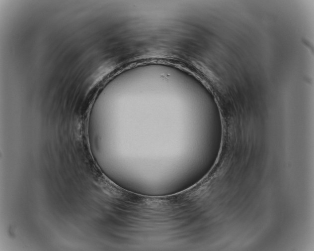 X0000097751258200803141549