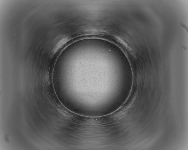 X0000097751259200803141549