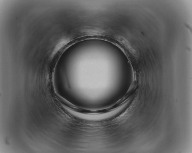 X0000097751261200803141549