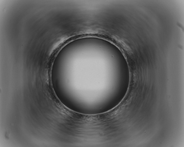 X0000097751262200803141549