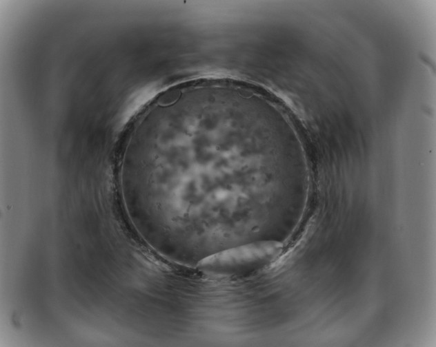 X0000097751263200803141549