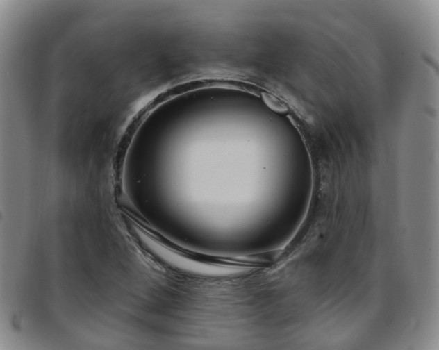 X0000097751264200803141549