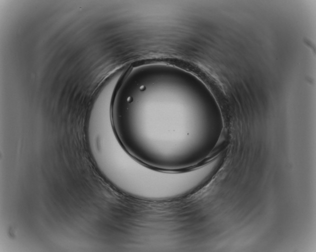 X0000097751265200803141549