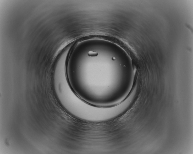 X0000097751266200803141549