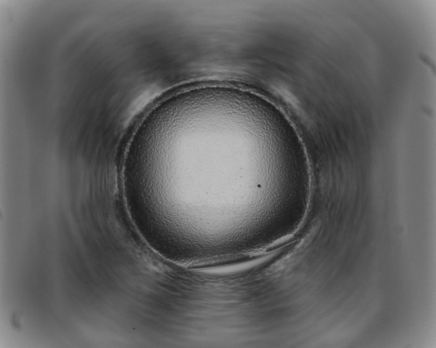 X0000097751267200803141549