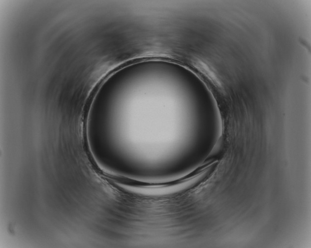 X0000097751268200803141549