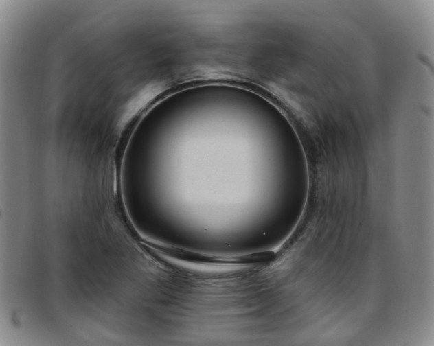 X0000097751269200803141549