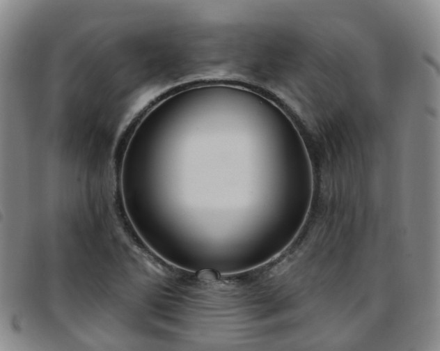 X0000097751270200803141549