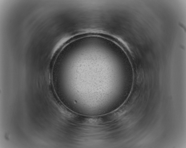 X0000097751271200803141549