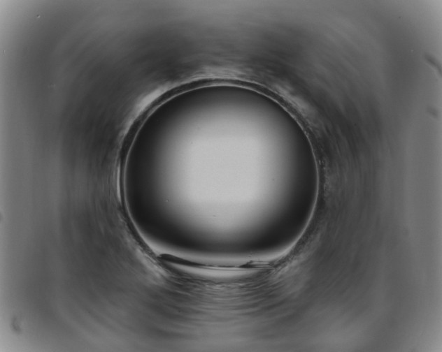 X0000097751272200803141549