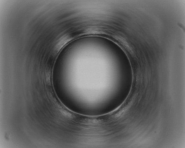 X0000097751273200803141549