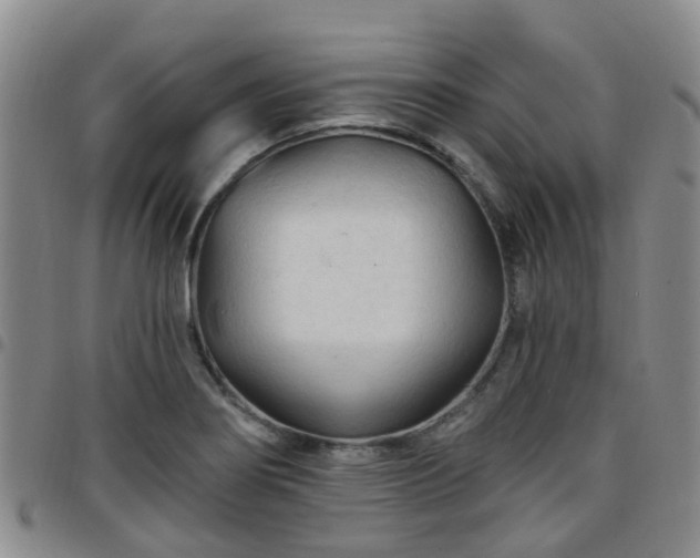 X0000097751274200803141549