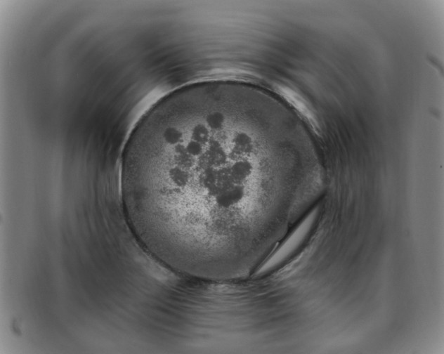 X0000097751275200803141548