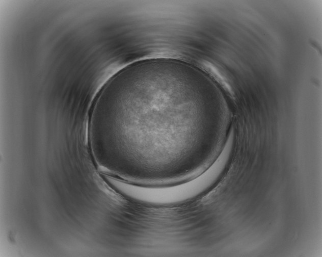 X0000097751276200803141548