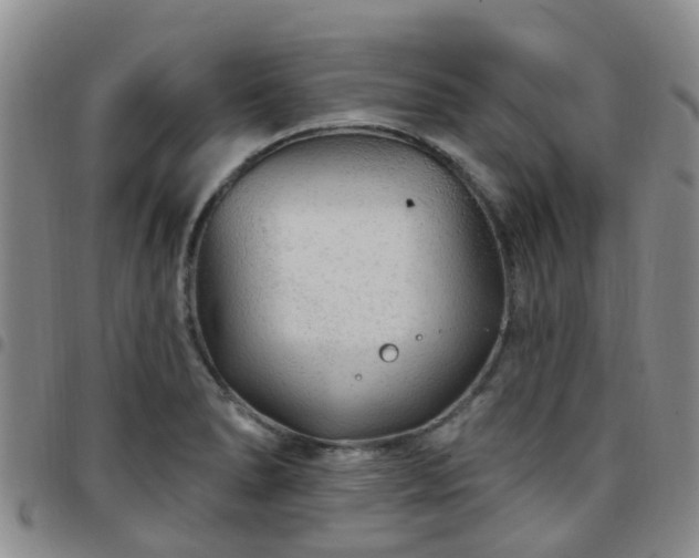 X0000097751278200803141548