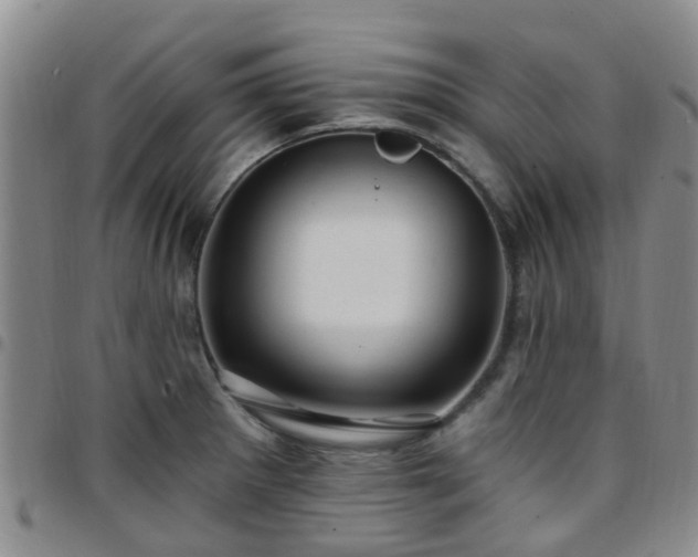 X0000097751281200803141548