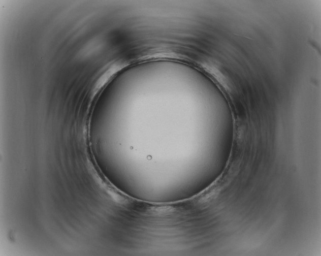 X0000097751282200803141548