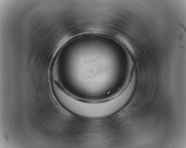 X0000097751283200803141548