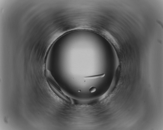 X0000097751284200803141548