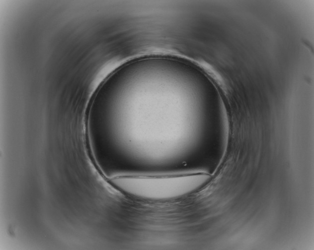 X0000097751287200803141548