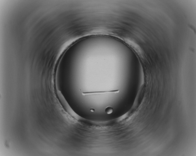 X0000097751288200803141548