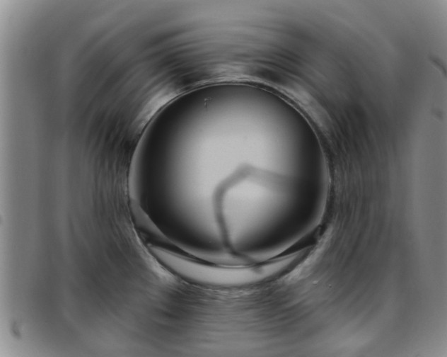 X0000097751289200803141548