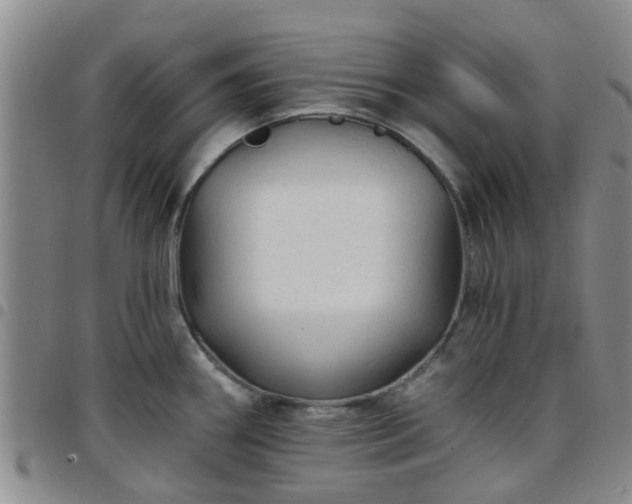 X0000097751290200803141548