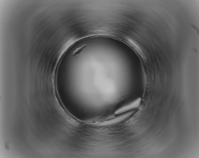 X0000097751291200803141548